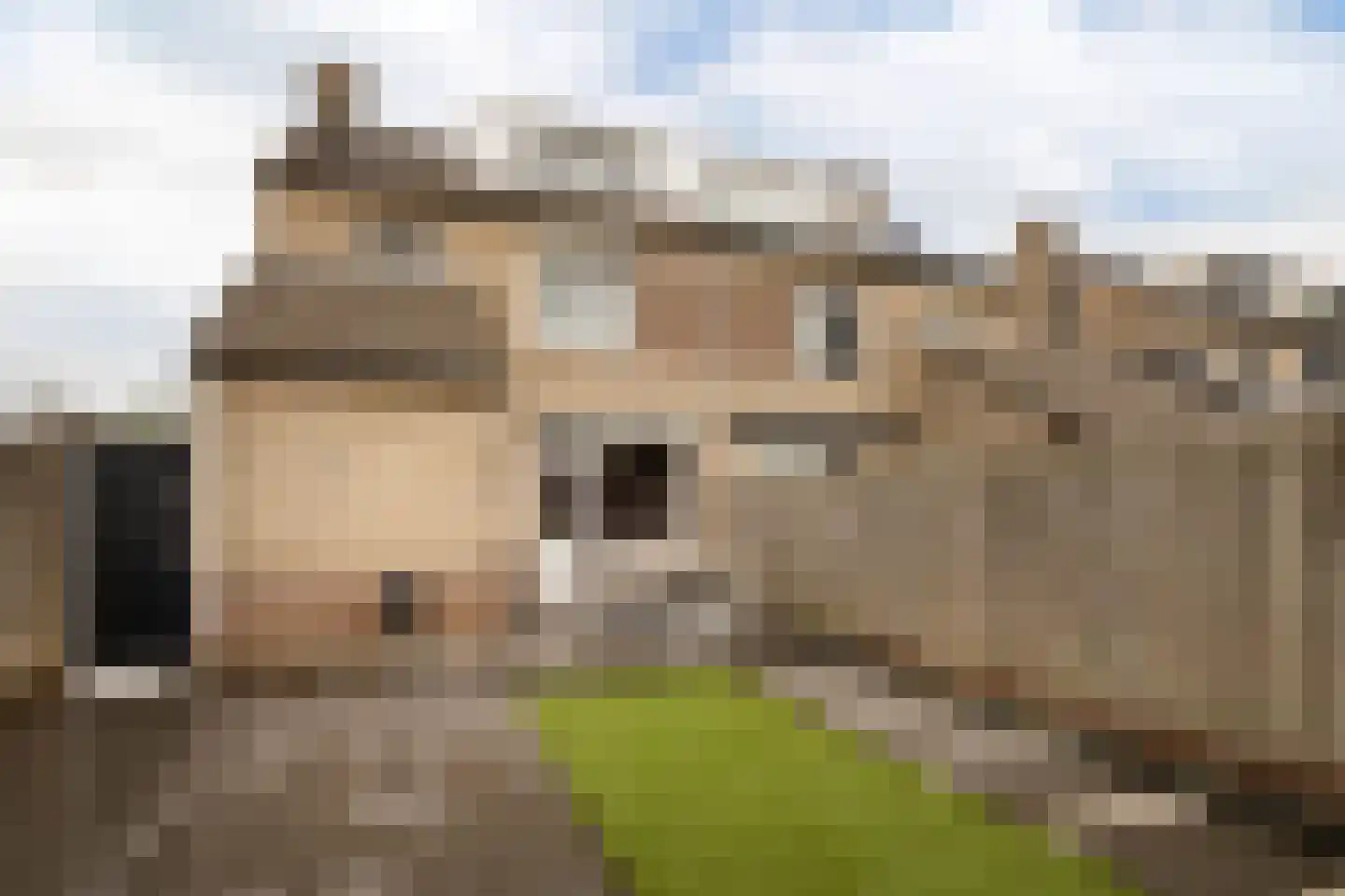 Loonberg 2 Bergen op Zoom thumbnail 34