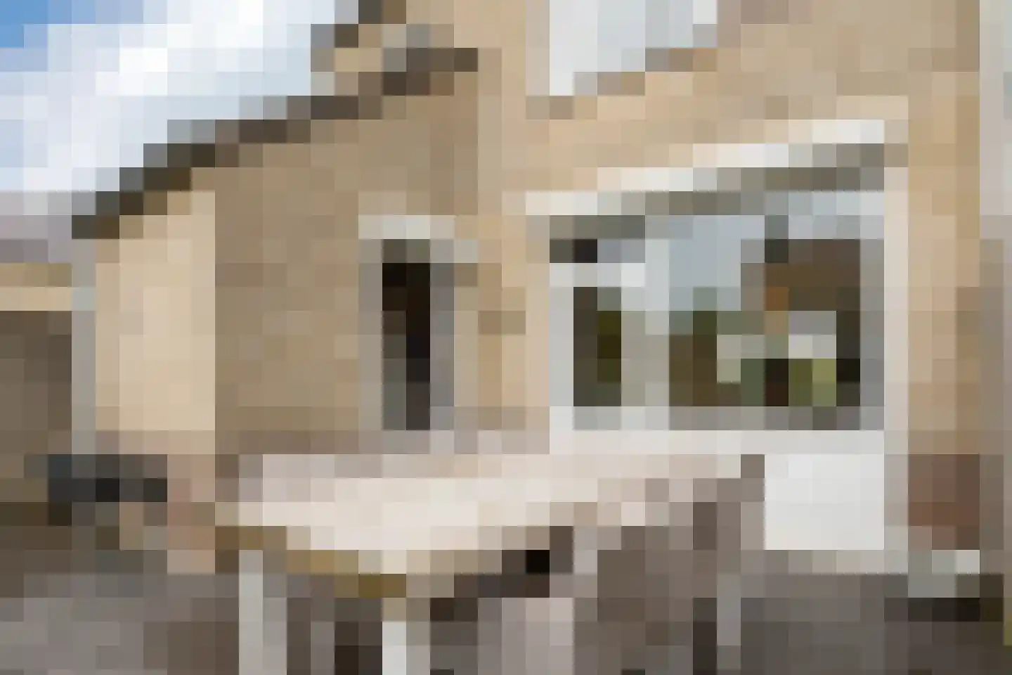 Loonberg 2 Bergen op Zoom thumbnail 35
