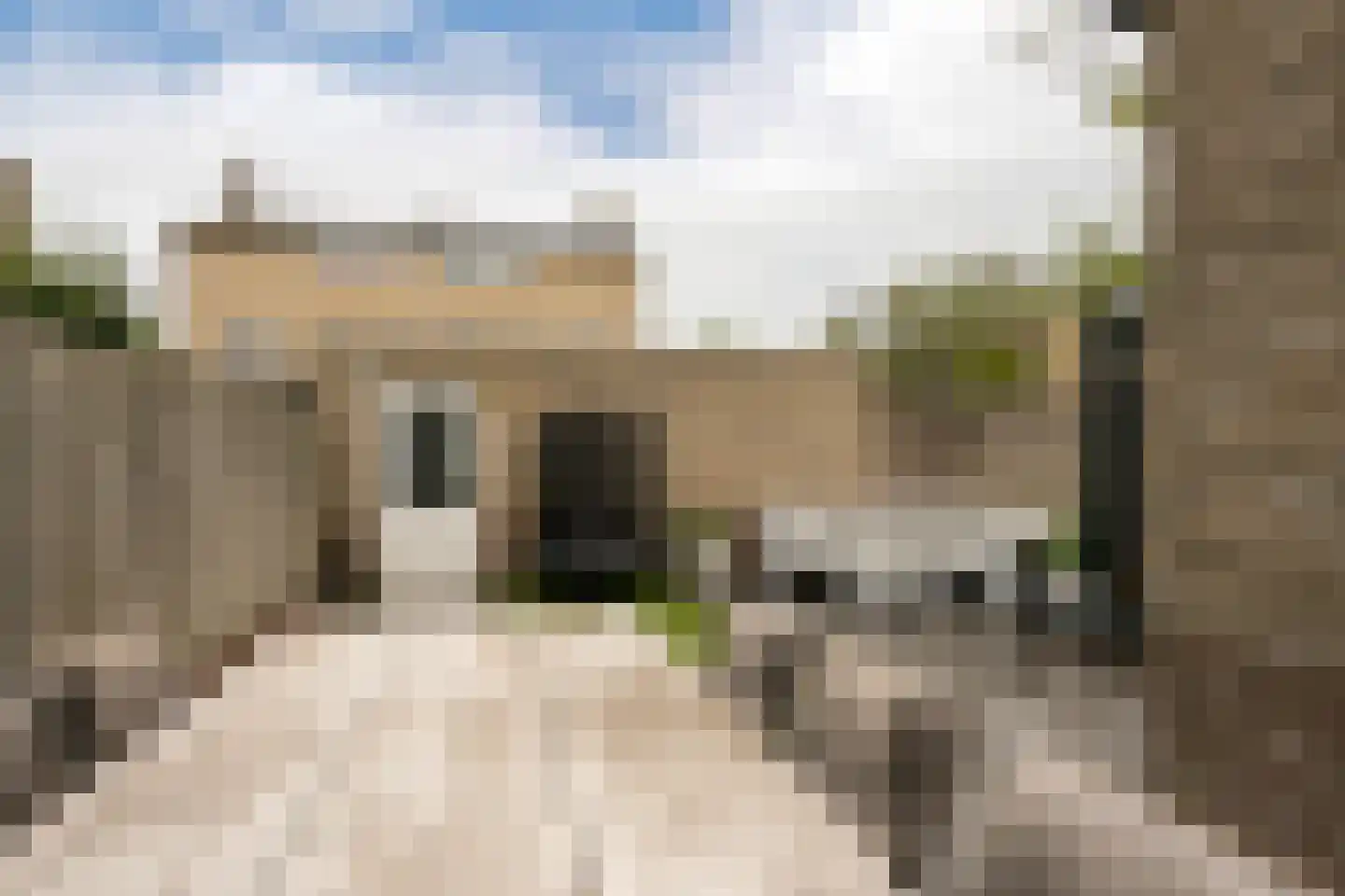 Loonberg 2 Bergen op Zoom thumbnail 36