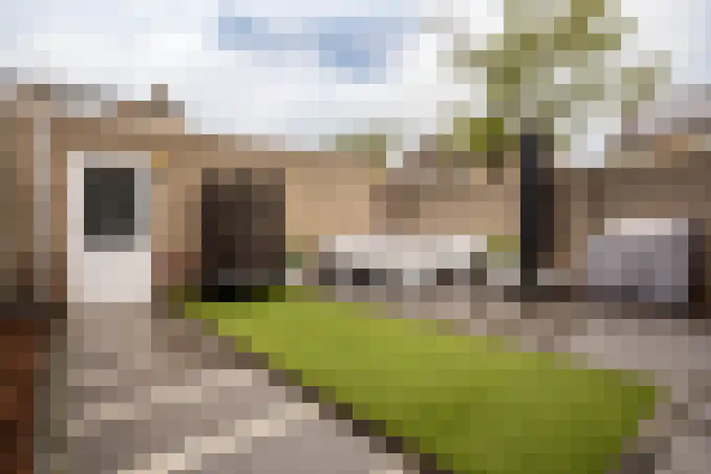 Loonberg 2 Bergen op Zoom thumbnail 37