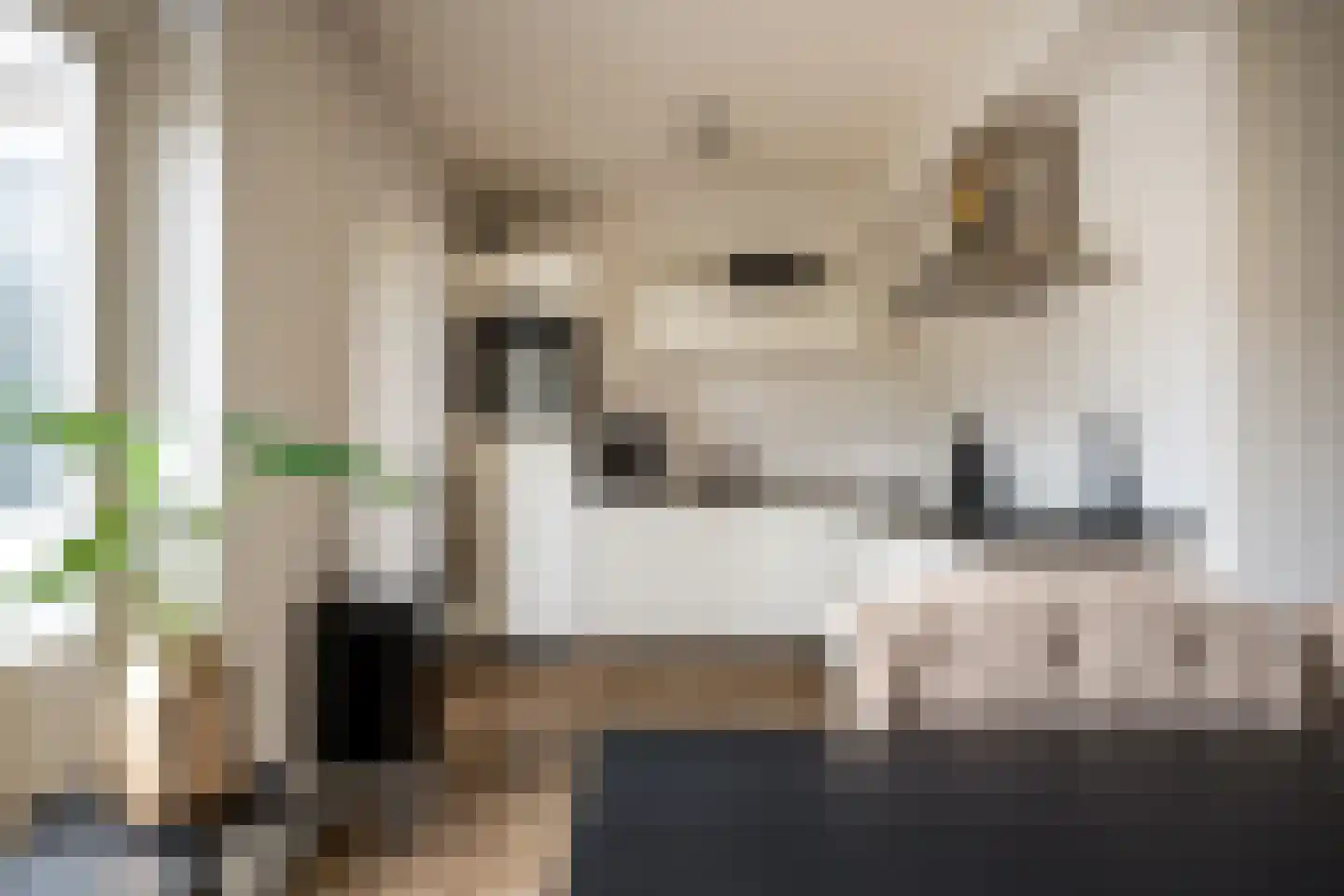 Loonberg 2 Bergen op Zoom thumbnail 4