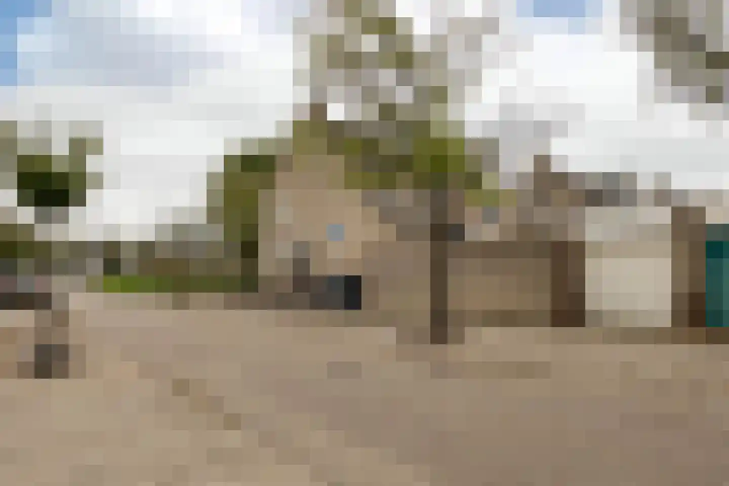 Loonberg 2 Bergen op Zoom thumbnail 43