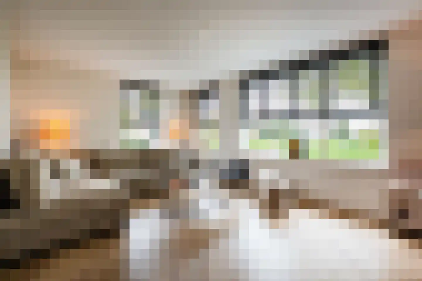 Loonberg 2 Bergen op Zoom thumbnail 6