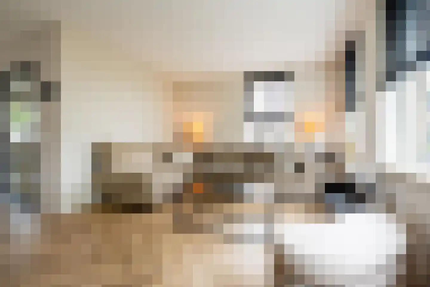 Loonberg 2 Bergen op Zoom thumbnail 7
