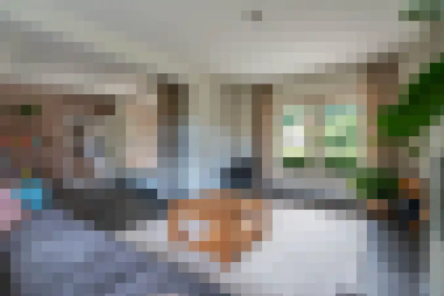 Loonderweg 21 Waalre thumbnail 11