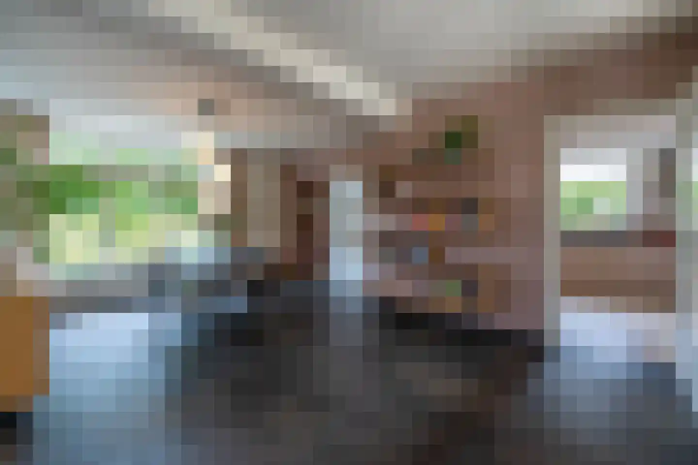 Loonderweg 21 Waalre thumbnail 12