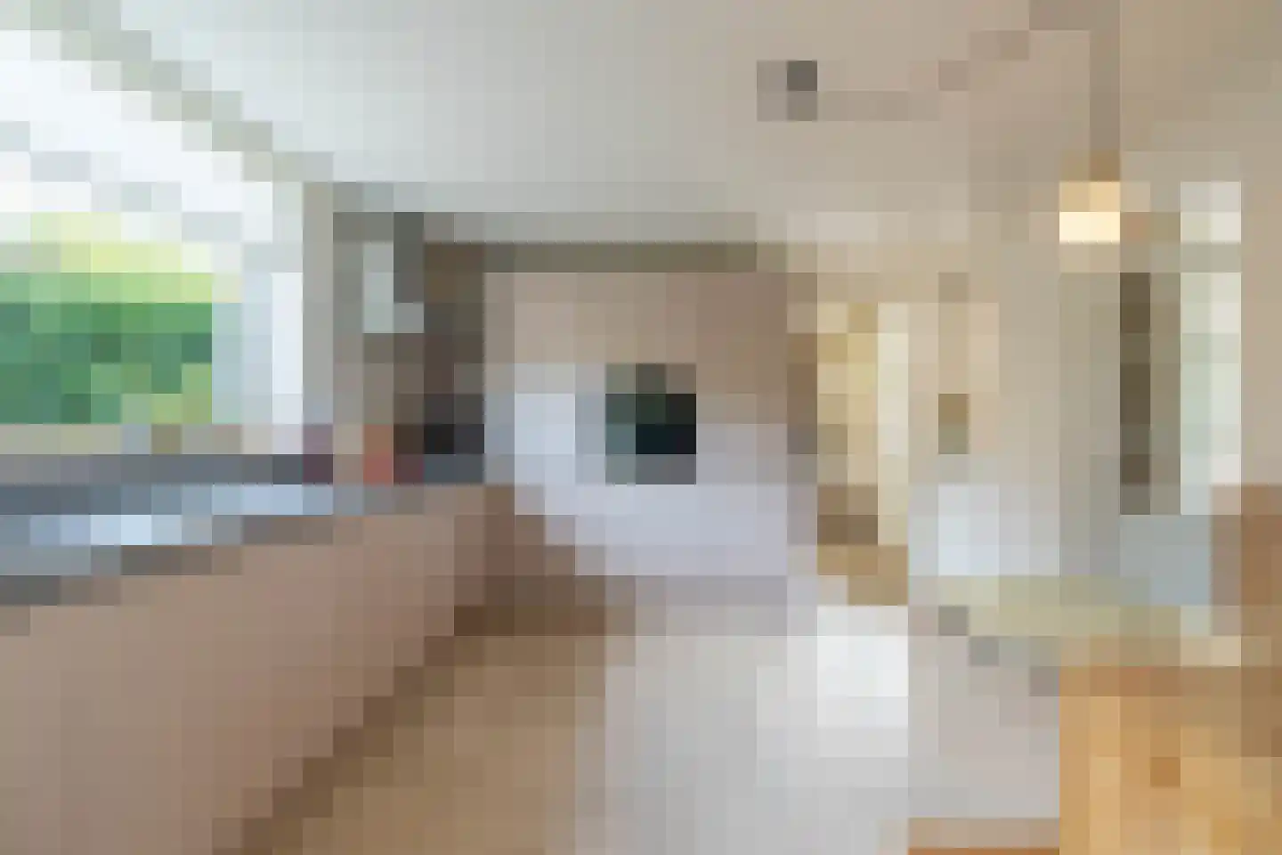 Loonderweg 21 Waalre thumbnail 22