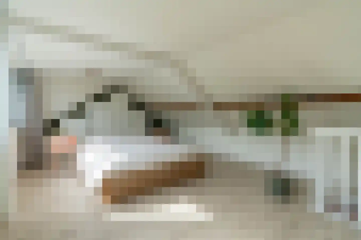 Loonderweg 21 Waalre thumbnail 48