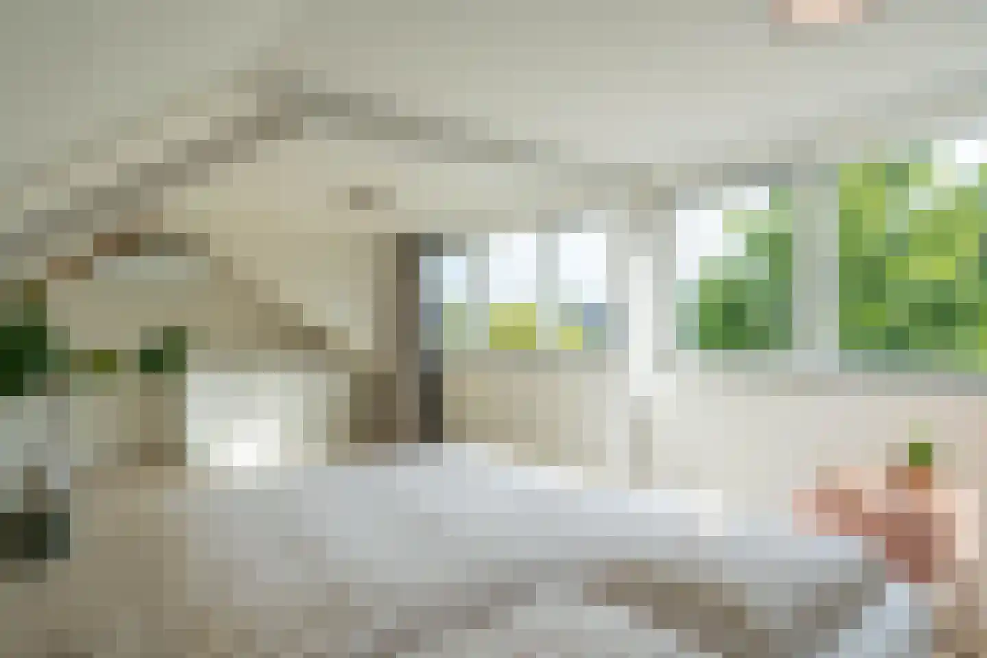 Loonderweg 21 Waalre thumbnail 50