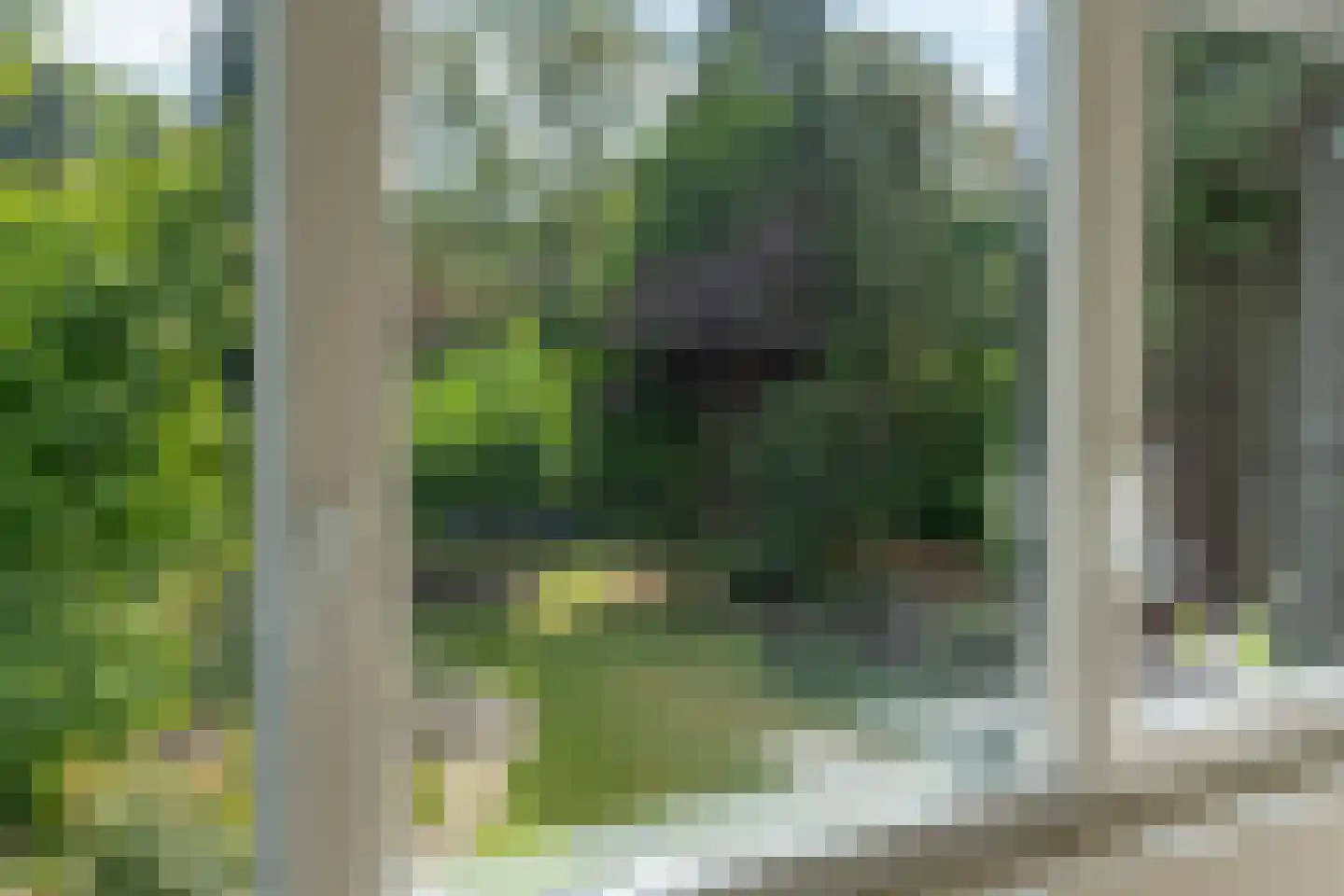 Loonderweg 21 Waalre thumbnail 52