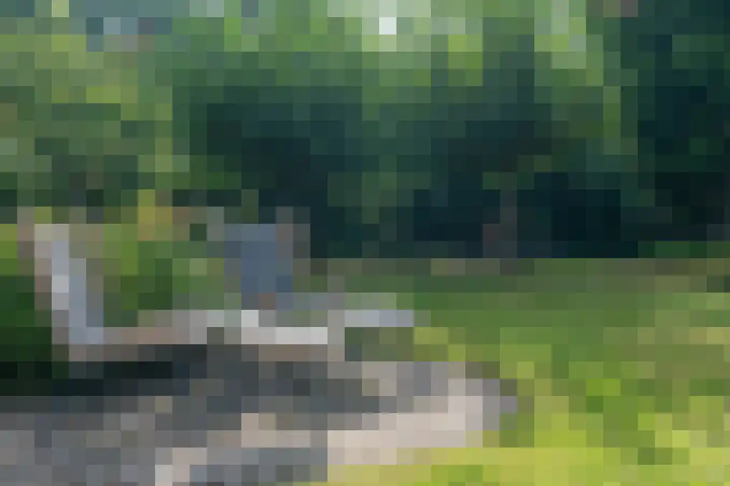 Loonderweg 21 Waalre thumbnail 59