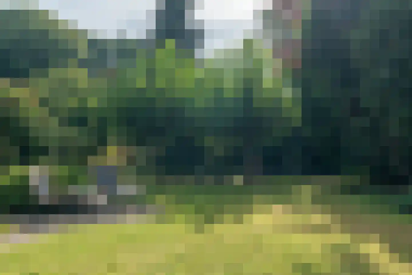 Loonderweg 21 Waalre thumbnail 60
