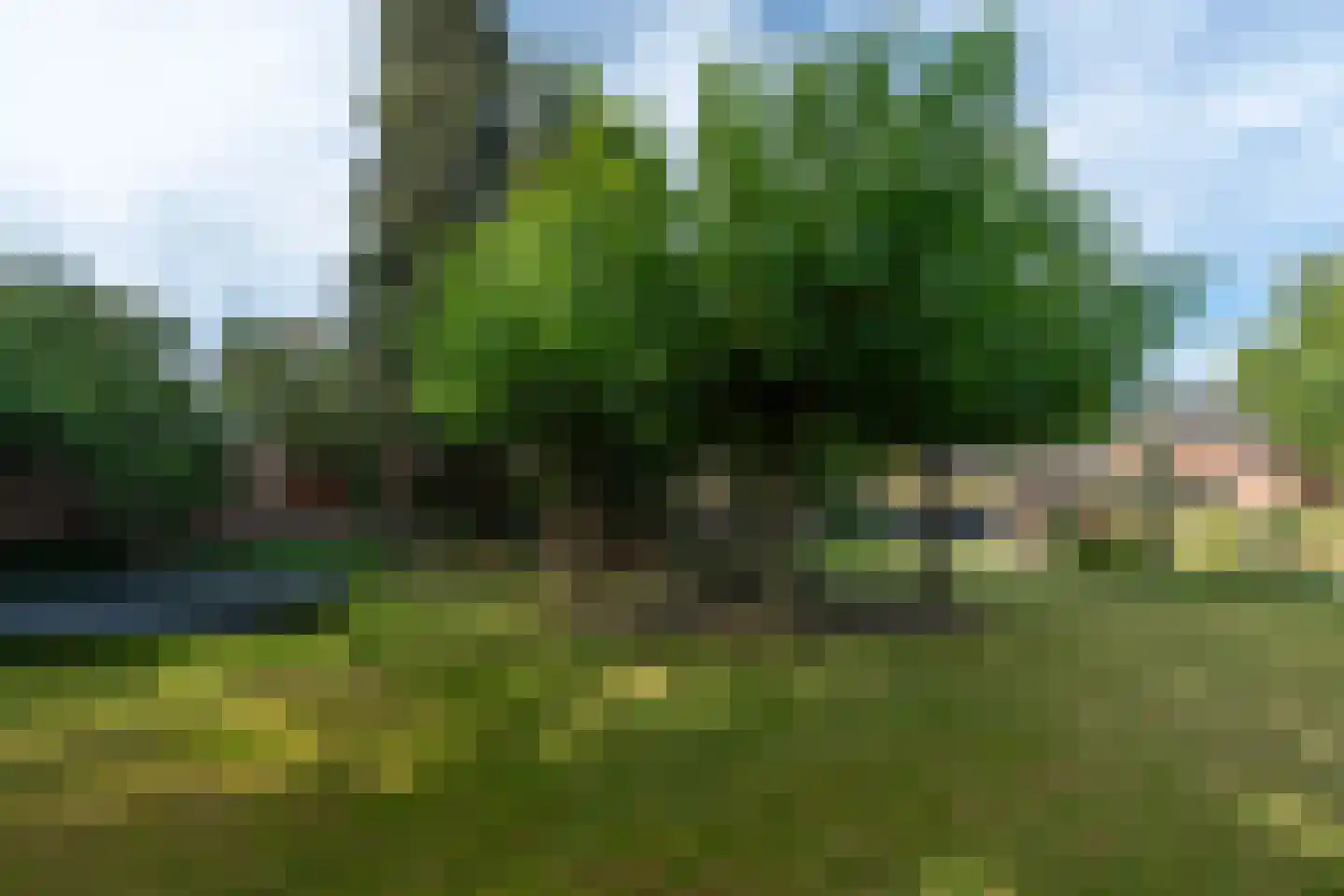 Loonderweg 21 Waalre thumbnail 63