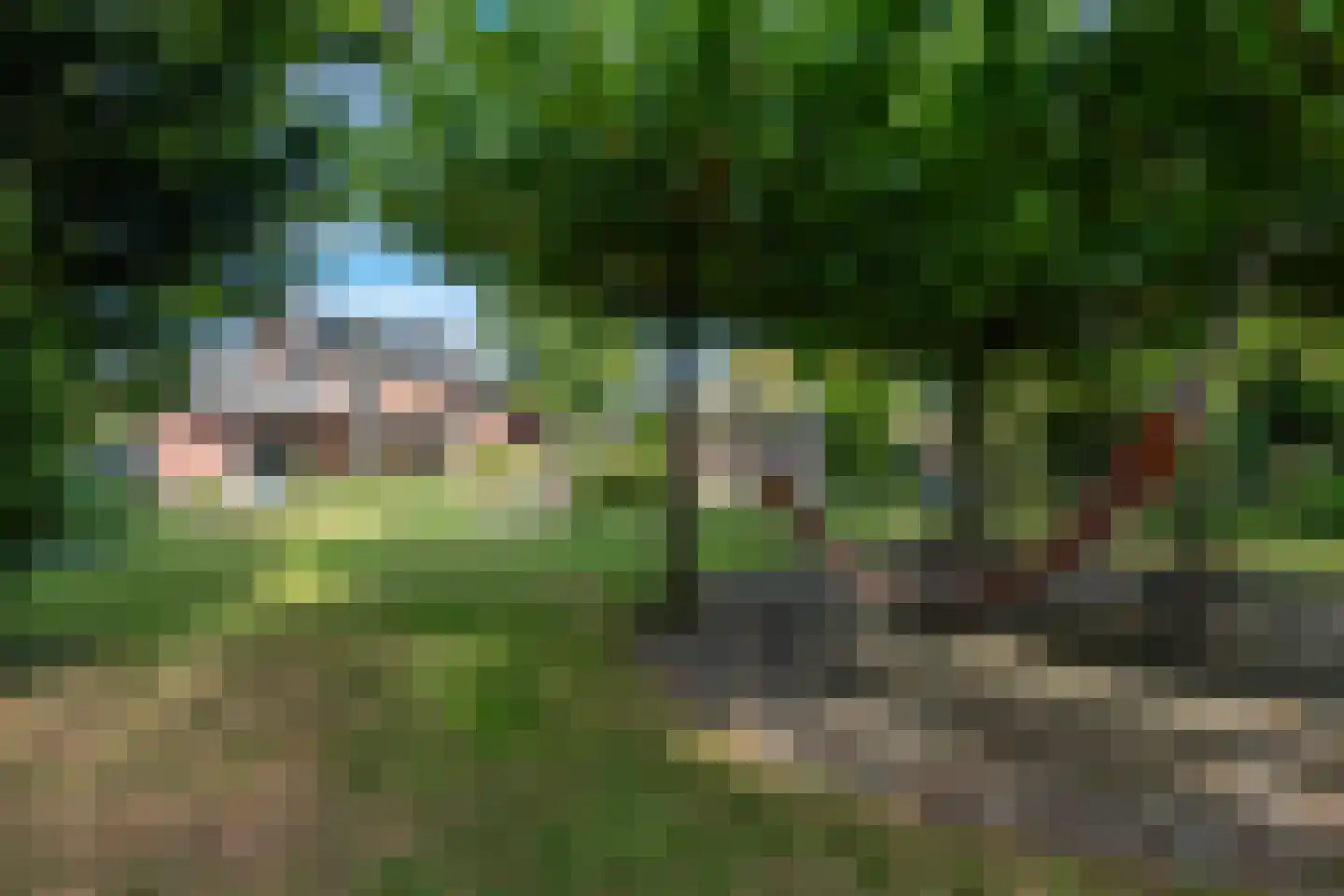 Loonderweg 21 Waalre thumbnail 64