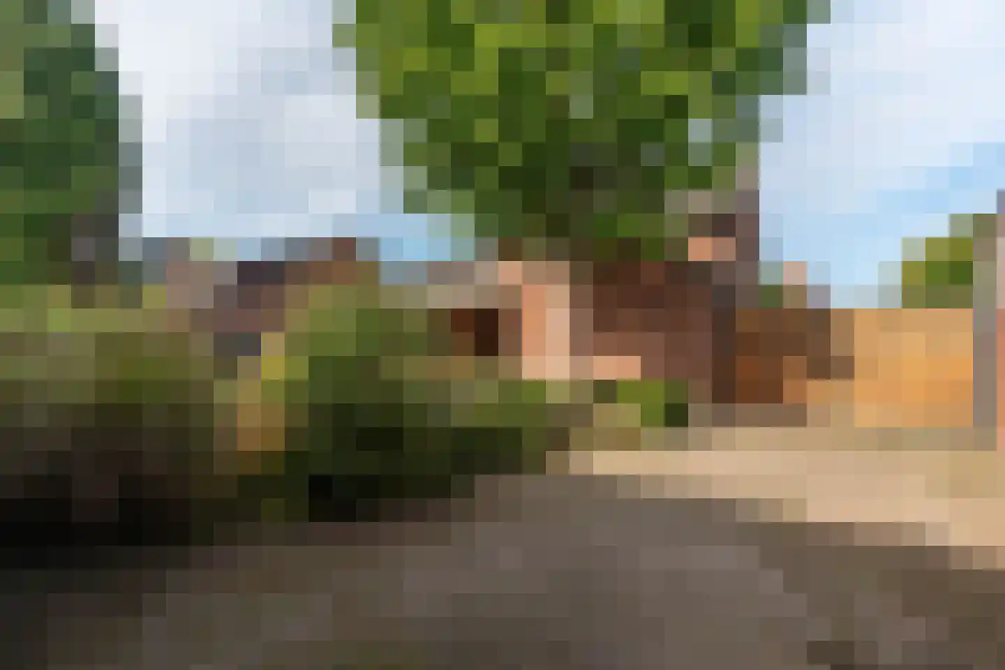 Loonderweg 21 Waalre thumbnail 70