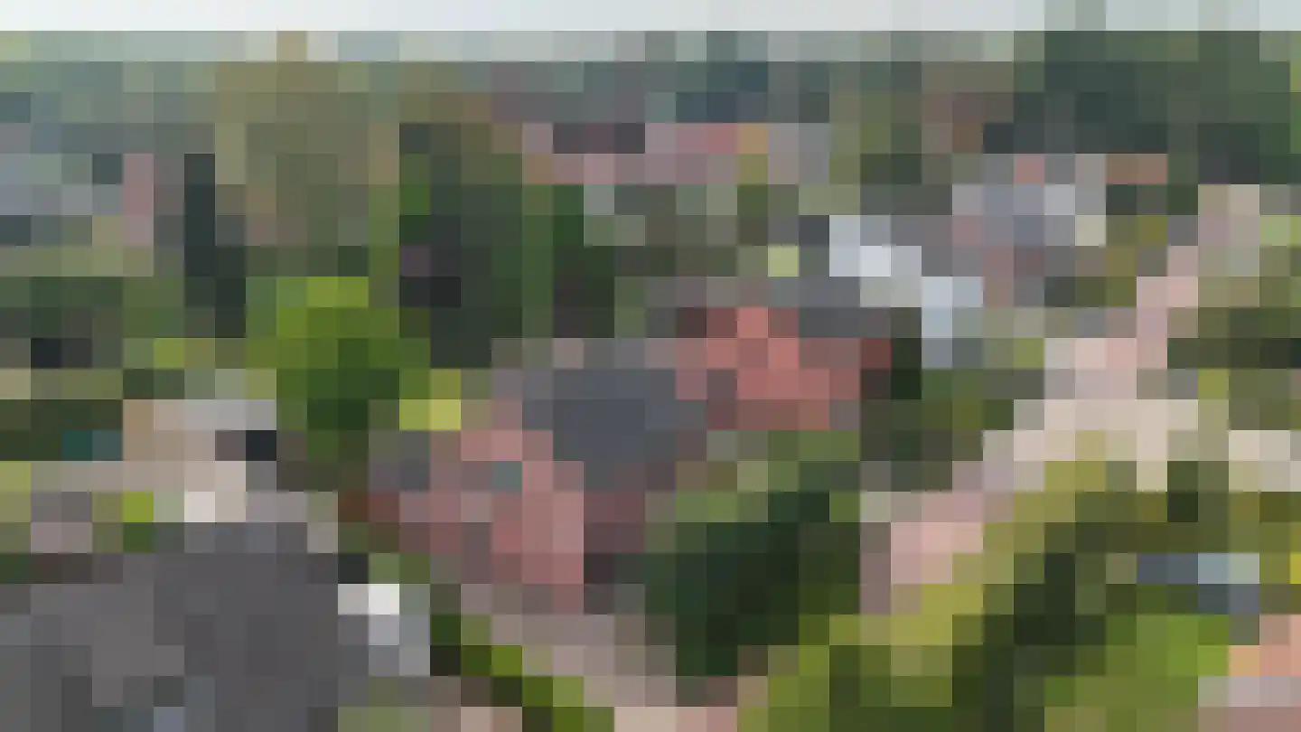 Loonderweg 21 Waalre thumbnail 72