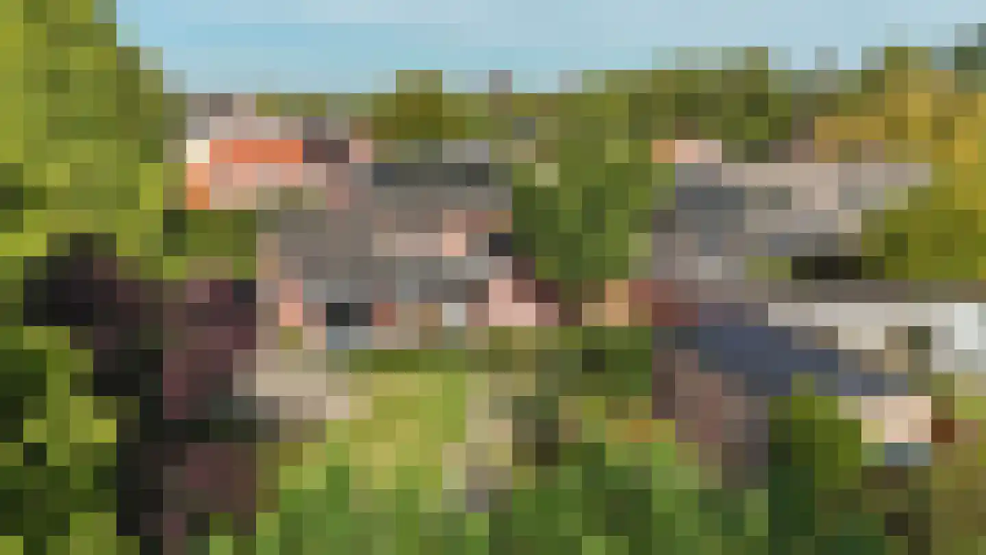 Loonderweg 21 Waalre thumbnail 73