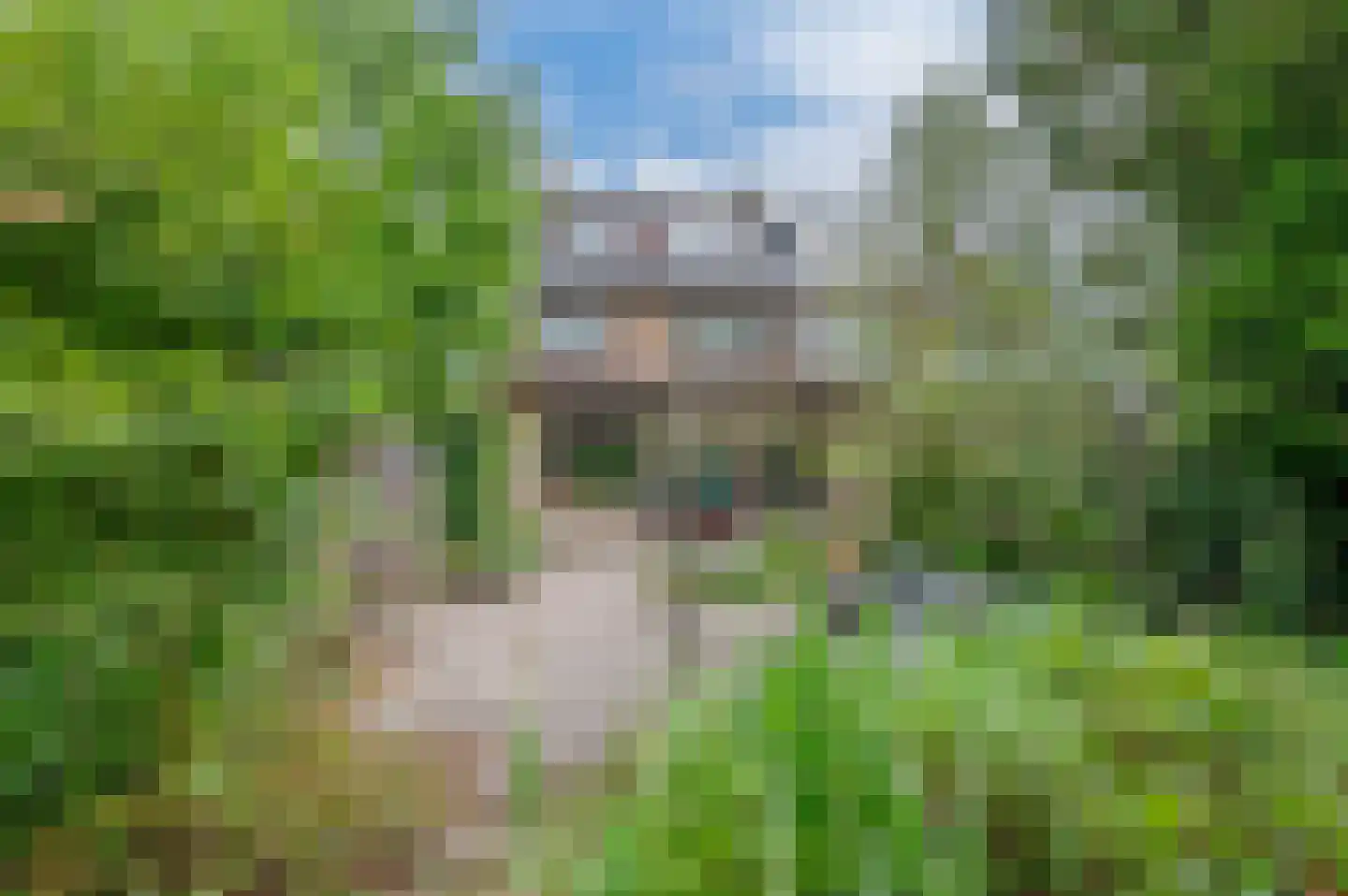 Loonderweg 26 Waalre thumbnail 25