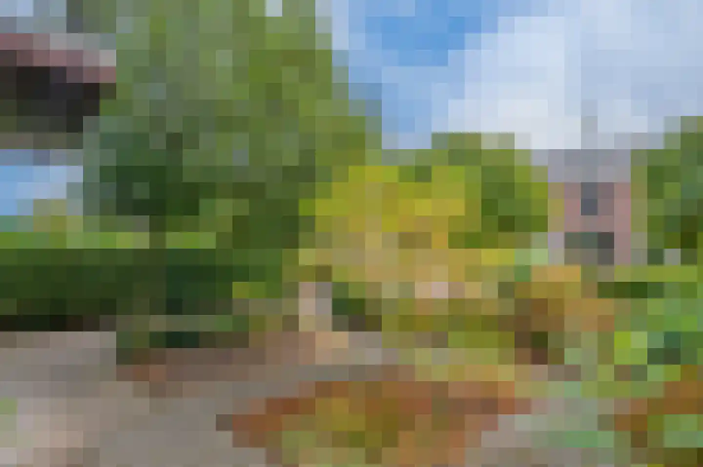 Loonderweg 26 Waalre thumbnail 28