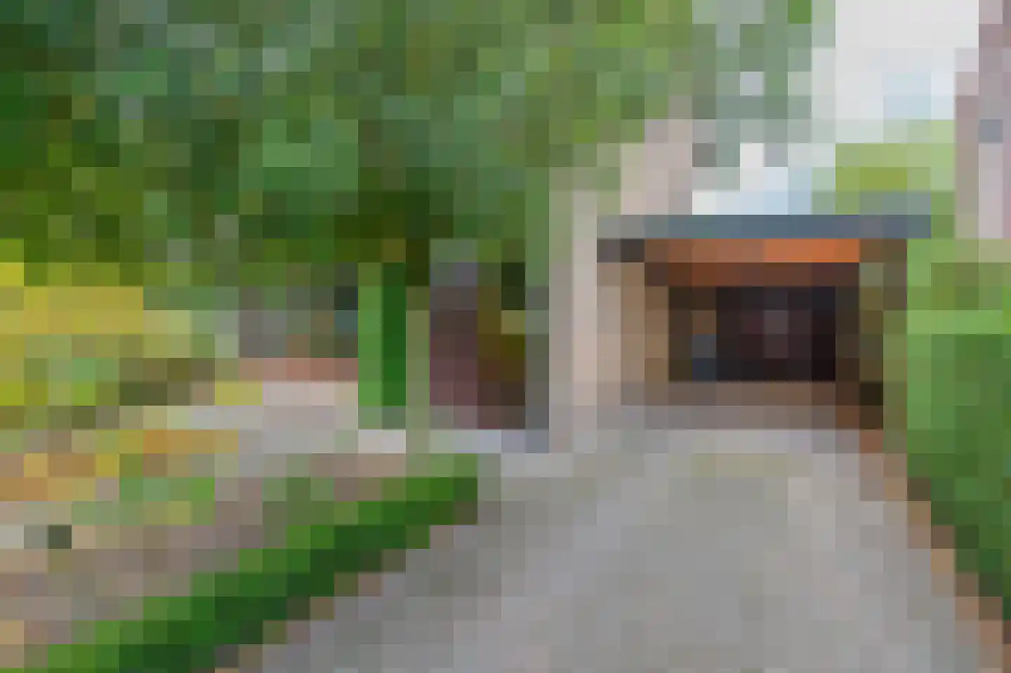 Loonderweg 26 Waalre thumbnail 29