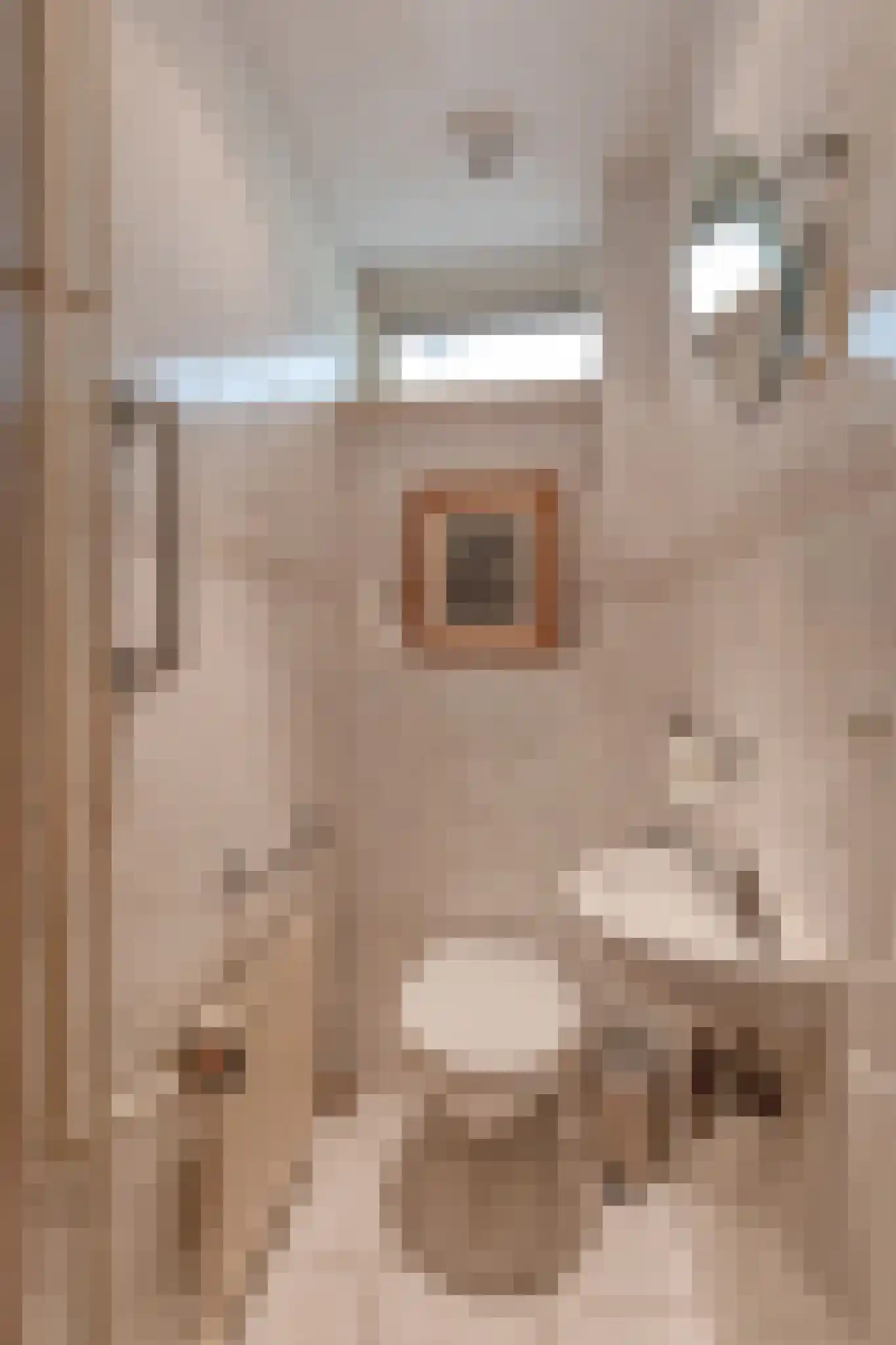 Loonderweg 26 Waalre thumbnail 4