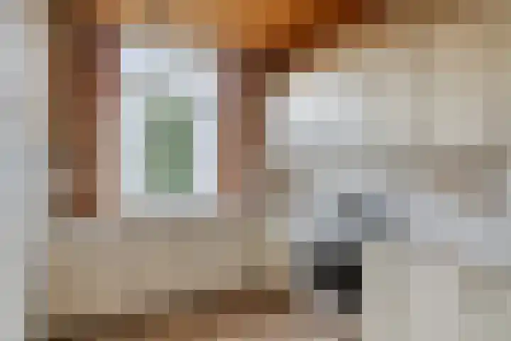 Loonderweg 48 Waalre thumbnail 16