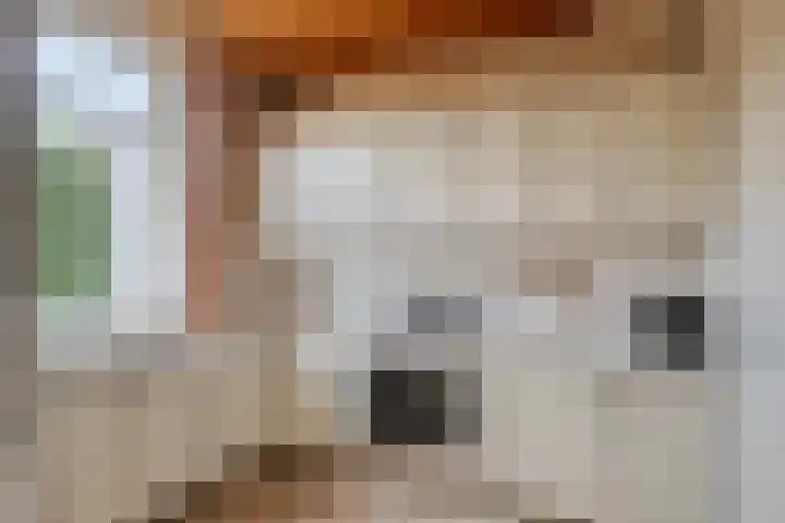 Loonderweg 48 Waalre thumbnail 17