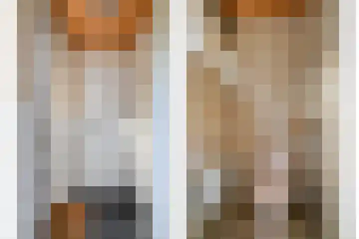Loonderweg 48 Waalre thumbnail 18