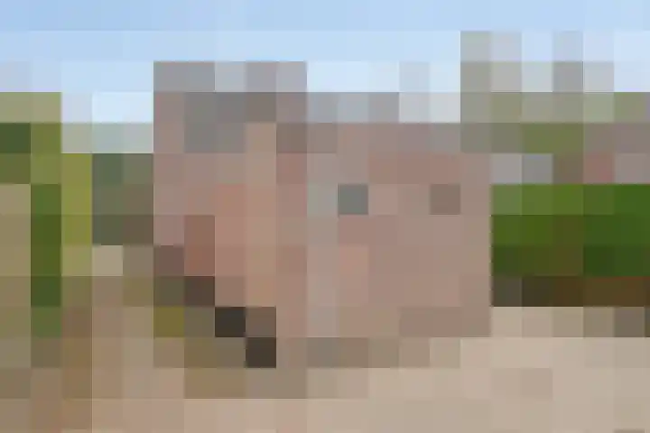 Loonderweg 48 Waalre thumbnail 30