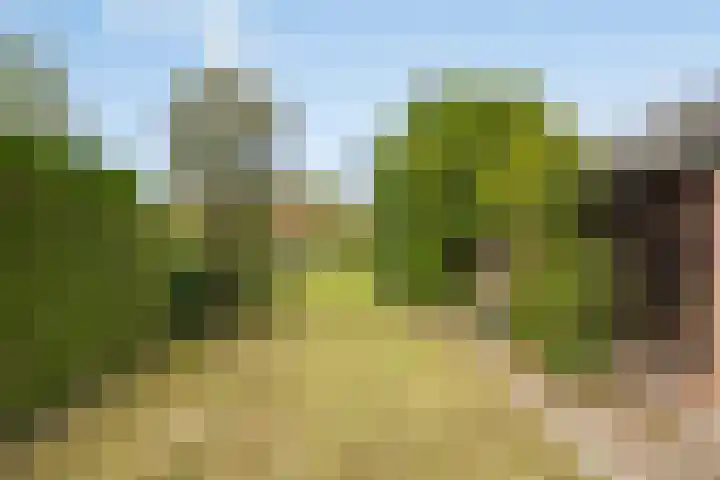 Loonderweg 48 Waalre thumbnail 32