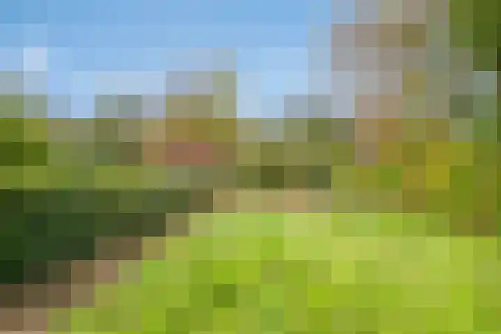 Loonderweg 48 Waalre thumbnail 33