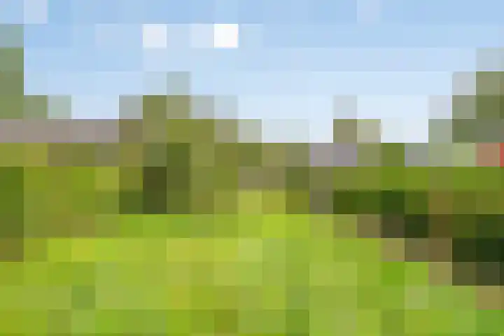 Loonderweg 48 Waalre thumbnail 34