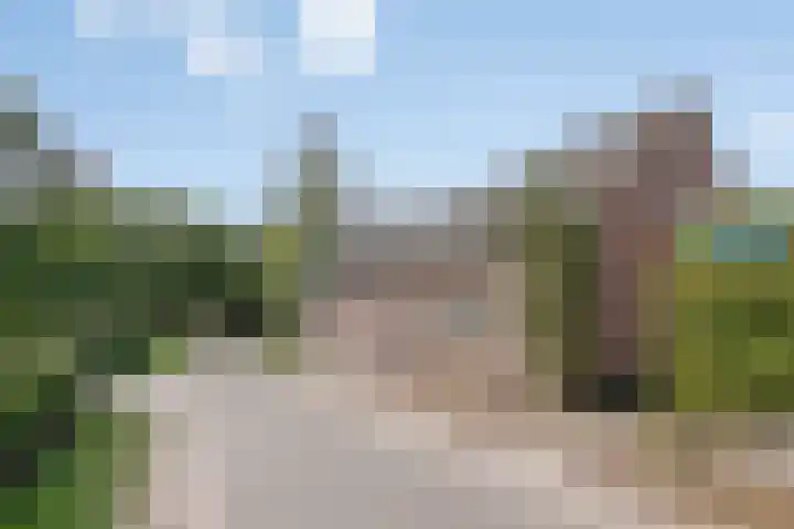 Loonderweg 48 Waalre thumbnail 37