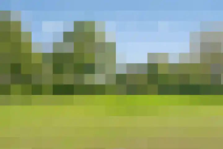 Loonderweg 48 Waalre thumbnail 39
