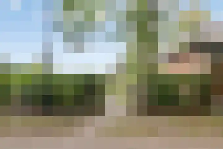 Loonderweg 48 Waalre thumbnail 41