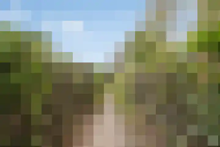 Loonderweg 48 Waalre thumbnail 42