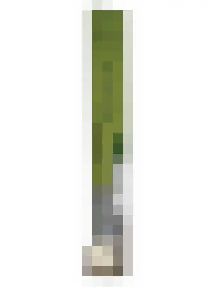 Loonderweg 48 Waalre thumbnail 43
