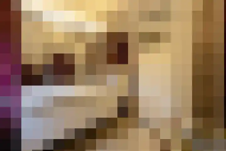 Loonsebaan 137 Vught thumbnail 16