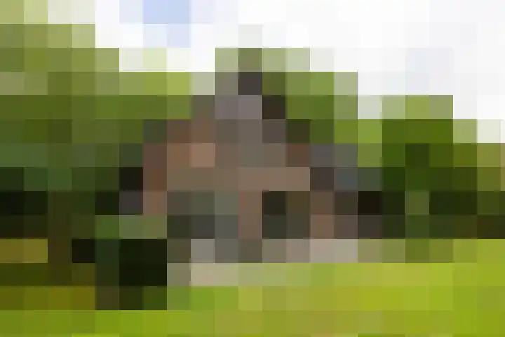 Loonsebaan 137 Vught thumbnail 22