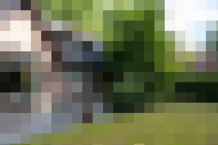 Loonsebaan 137 Vught thumbnail 23