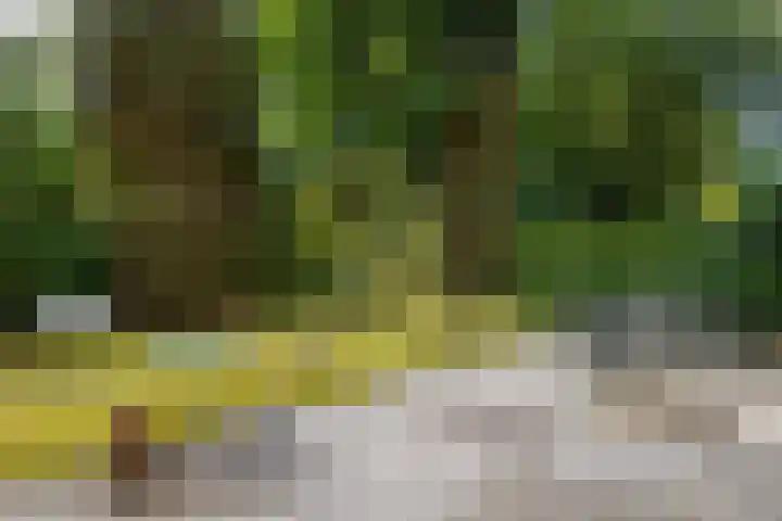 Loonsebaan 137 Vught thumbnail 24