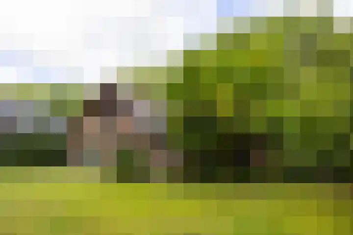 Loonsebaan 137 Vught thumbnail 25