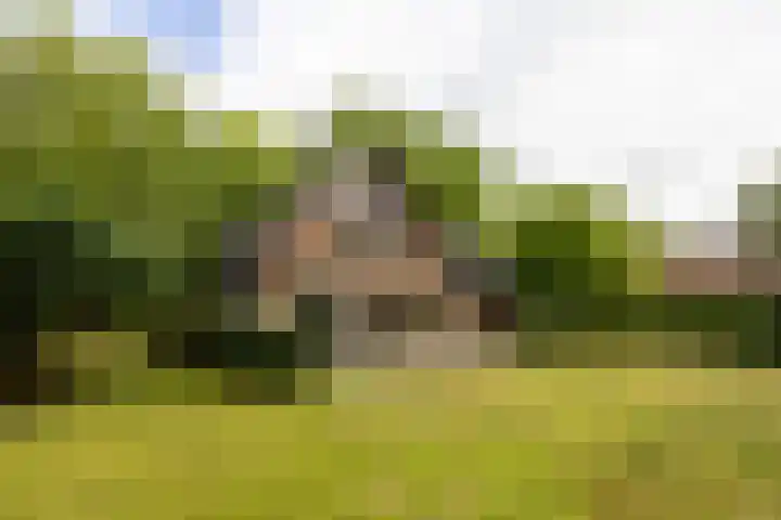 Loonsebaan 137 Vught thumbnail 26