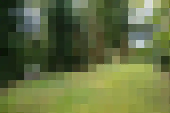 Loonsebaan 137 Vught thumbnail 27