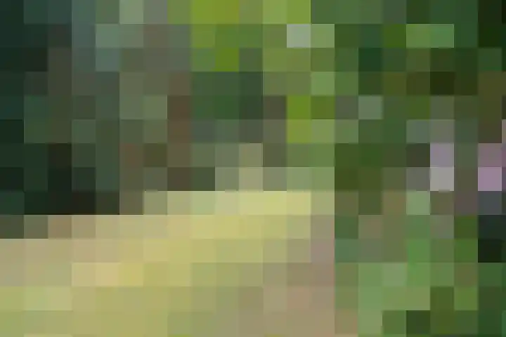 Loonsebaan 137 Vught thumbnail 28