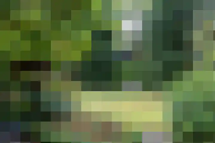 Loonsebaan 137 Vught thumbnail 29