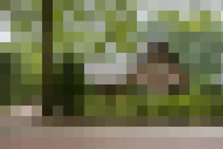 Loonsebaan 137 Vught thumbnail 30