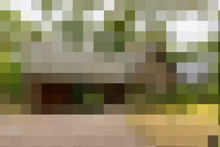Loonsebaan 137 Vught thumbnail 31
