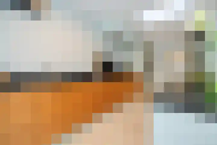 Loonsebaan 44 Vught thumbnail 13