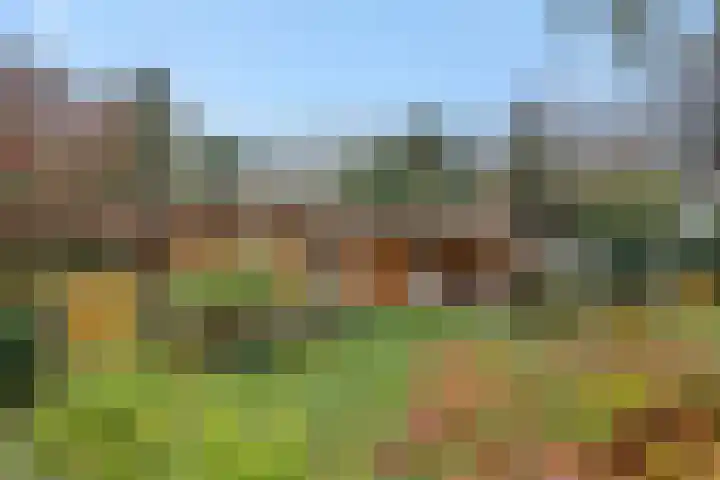 Loonsebaan 44 Vught thumbnail 34
